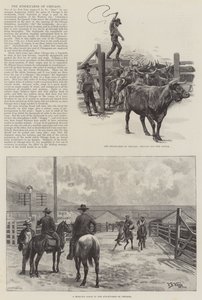The Stockyards of Chicago